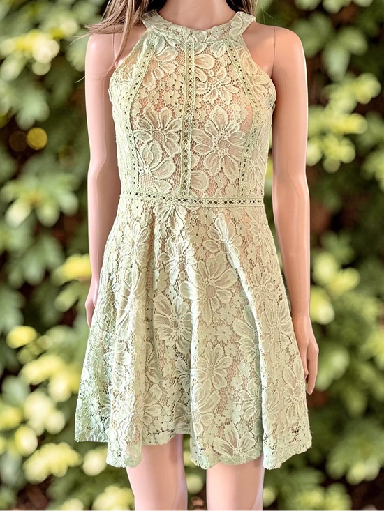 Crystal Doll Dresses & Skirts - Crystal Doll Lace Halter Dress Sage Green Nude Lined Fit & Flare Small